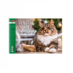 Альбом для рисования 24л., А4, на гребне, обл.- мелов. картон, Hatber.Кот Борис, перф. на отрыв — изображение 4