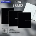 Набор предметных тетрадей, 05шт, 48л., BRAUBERG.Темный, обл. мелов. картон — изображение 7