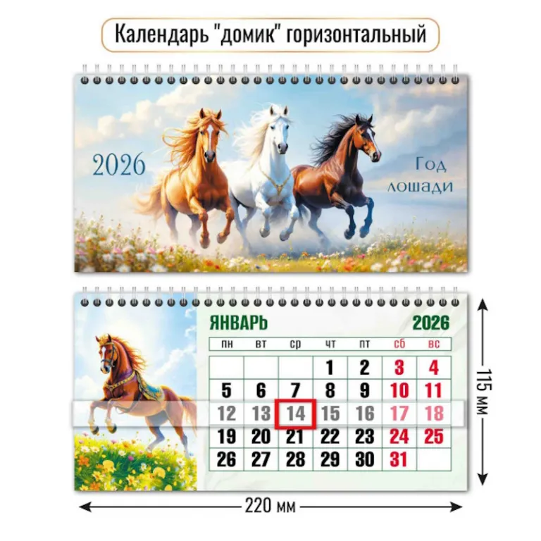 Тетрадь А5, 48 листов, клетка, гребень,  ArtSpace "Моноколор. Colorblock", об. мелов. картон