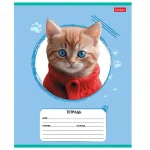 Тетрадь 12 л., линия Hatber.Мы-котики!, обл. мелов. картон, ассорти — изображение 4