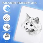 Скетчбук-блокнот 145х203мм, 80 л., вн. блок120 г/м², кн.переплет, FUNSTER (ФАНСТЕР), "Кот Тыгыдык" — изображение 5