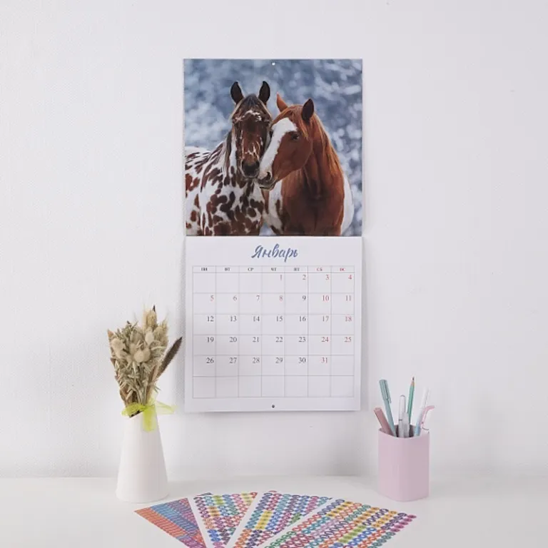 Тетрадь А5, 48 листов, клетка, гребень,  ArtSpace "Моноколор. Colorblock", об. мелов. картон