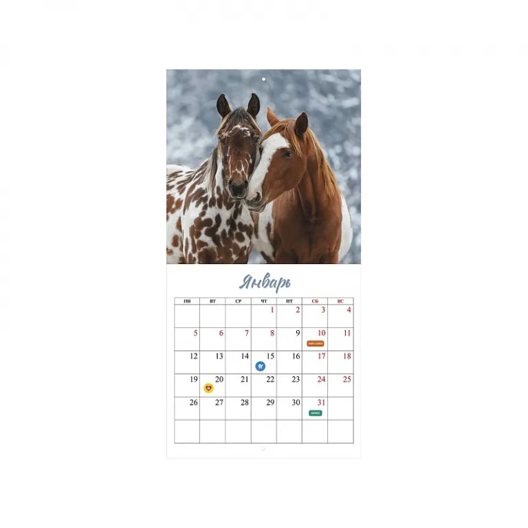 Тетрадь А5, 48 листов, клетка, гребень,  ArtSpace "Моноколор. Colorblock", об. мелов. картон