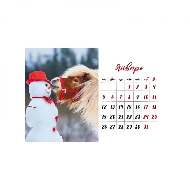 Тетрадь А5, 48 листов, клетка, гребень,  ArtSpace "Моноколор. Colorblock", об. мелов. картон