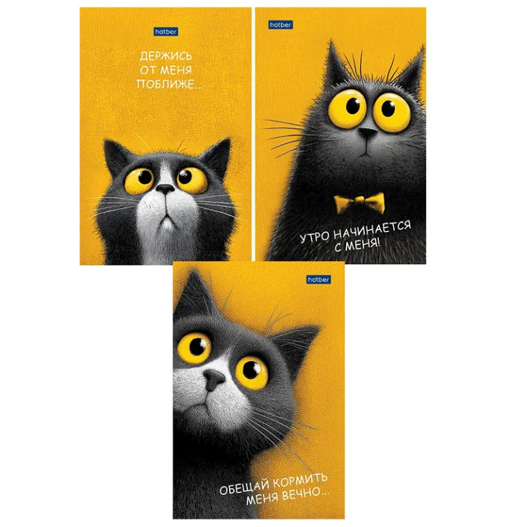 Тетрадь А5, 48 листов, клетка, гребень,  ArtSpace "Моноколор. Colorblock", об. мелов. картон