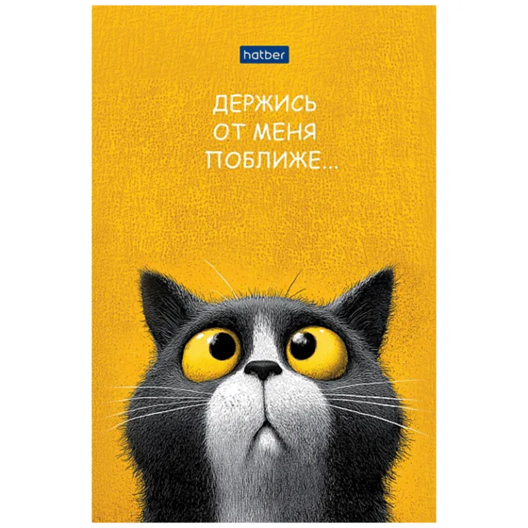 Тетрадь А5, 48 листов, клетка, гребень,  ArtSpace "Моноколор. Colorblock", об. мелов. картон