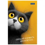 Блокнот А6, 40 л., склейка, обл. мелов. картон, глянц. ламинация, Hatber.Пушистый философ — изображение 4