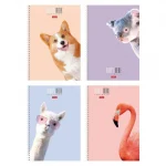 Тетрадь А4, 96 листов, клетка, гребень, Hatber.Кто здесь? перфорац., обл. мелов. картон, мат ламин