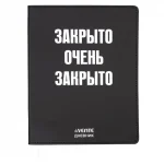 Дневник 1-11 кл. 48л. (гибкий) У deVENTE. Закрыто очень закрыто, кожзам, шелкогр, отстрочка,ляссе