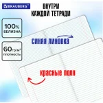 Набор предметных тетрадей, 12шт, 48л., BRAUBERG.Волшебный белый, обл. мелов. картон, глянцевый УФ-лак — изображение 11