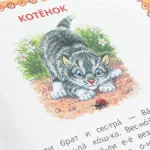 Книга Читаем по слогам "Рассказы и сказки.", твердый переплет, размер 16,5 х 21,5 см, 48 стр — изображение 5
