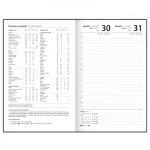 Ежедневник датир. 2027, А5, STAFF Символ года, 320 стр, ламинированная обложка, 7БЦ — изображение 5