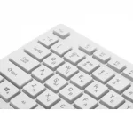 Клавиатура проводная Оклик 550ML белый USB slim Multimedia LED (1061618) каб.:1.5м — изображение 4