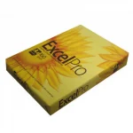 Бумага "ExcelPro. Подсолнух/Sun Flower" A4 160 гр. (полноцветная лазер./струйн. печать) 250л/пач.